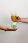 Detox FatBurn