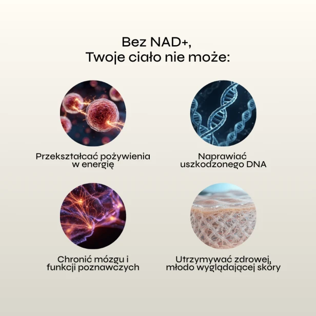 Zestaw 2 × EON Longevity Complex