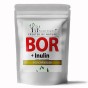 BOR-100-Capsules-FRONT-LOGO-JPEG.jpg