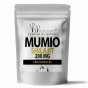 forest-vitamin-mumio-shilajit-200mg-100-kapsulek.jpg