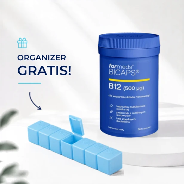 b12organizer.png