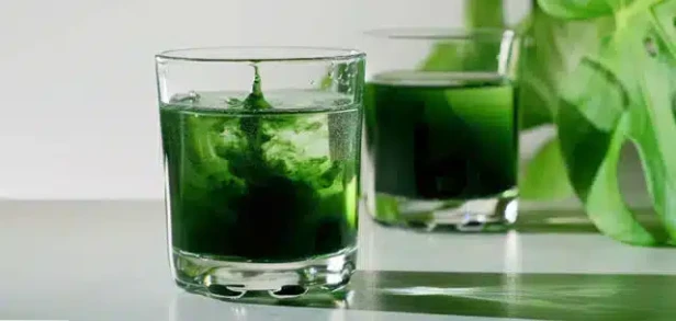 Chlorophyll_bio_detox-640x305-1.webp