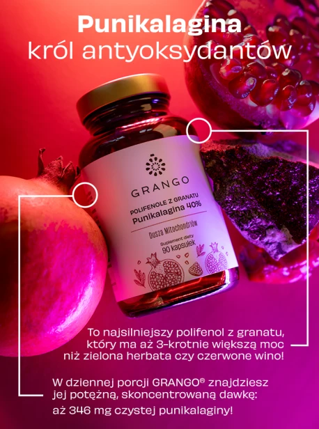 veneo_grango_karty-produktow_grango_4.png